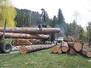 Methow Valley, WA | Locally Sourced Wood