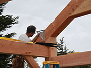 Timber Frame To Go | Tall Timber